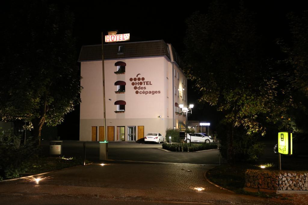 Logis Hotel Des Cepages Arbois Exterior foto