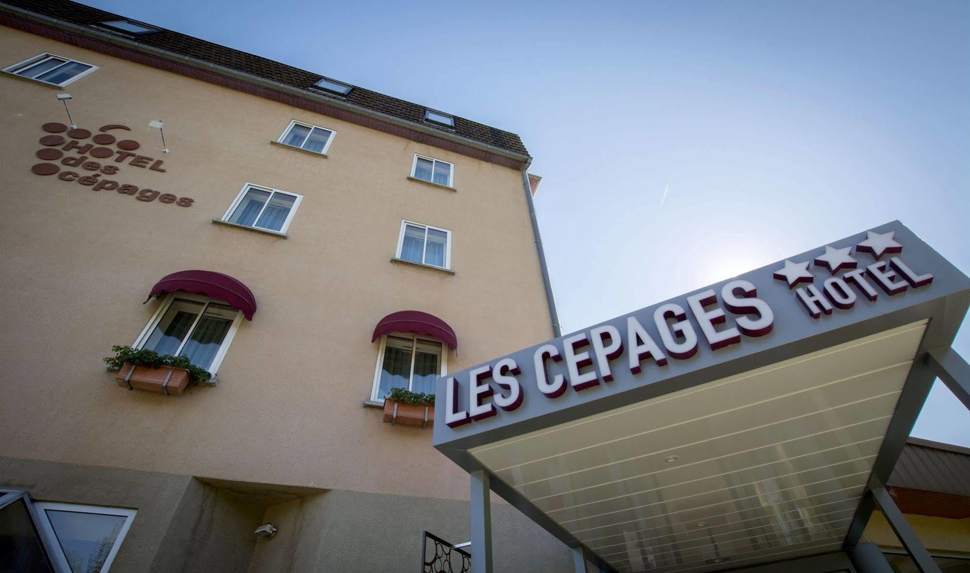 Logis Hotel Des Cepages Arbois Exterior foto